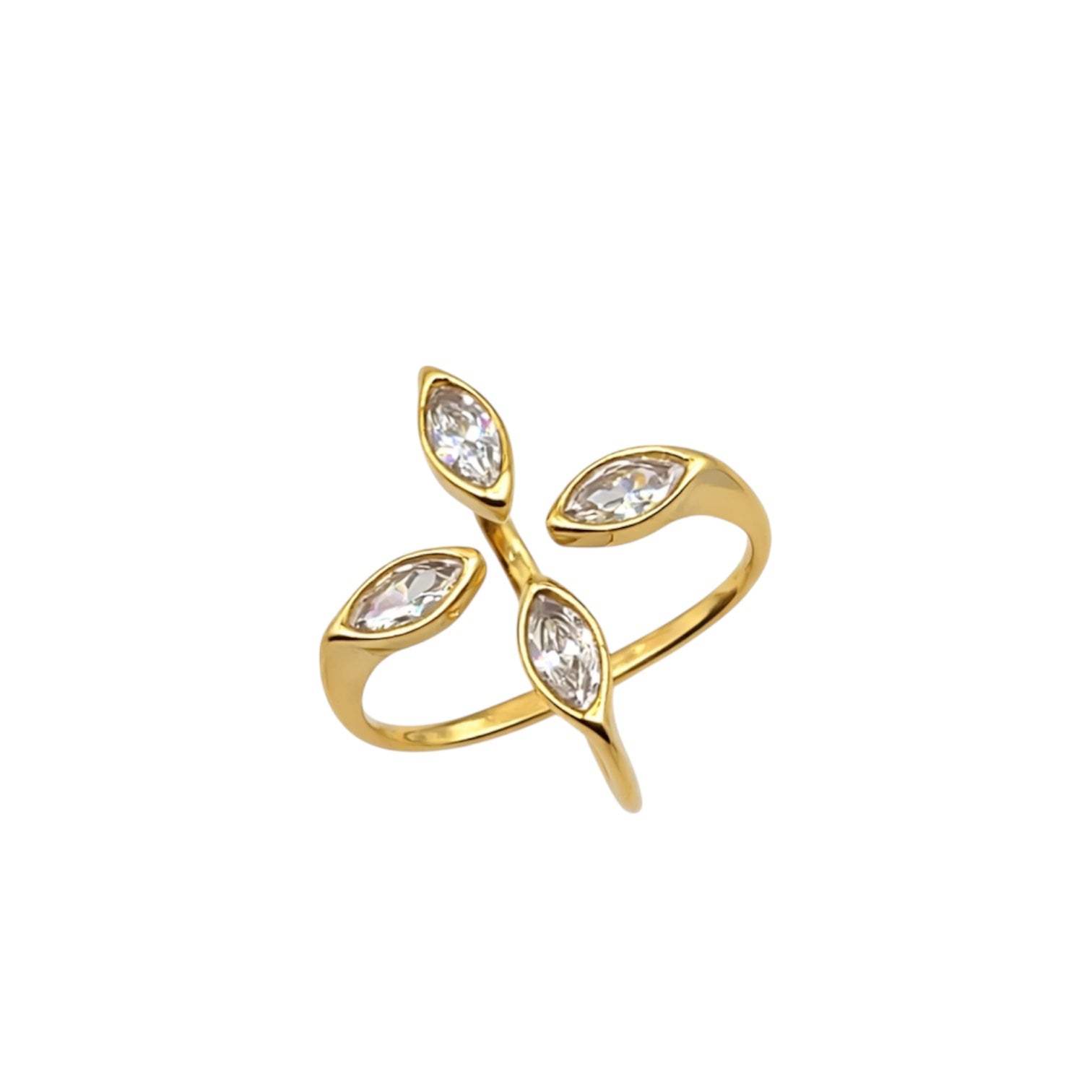 Anello incontro