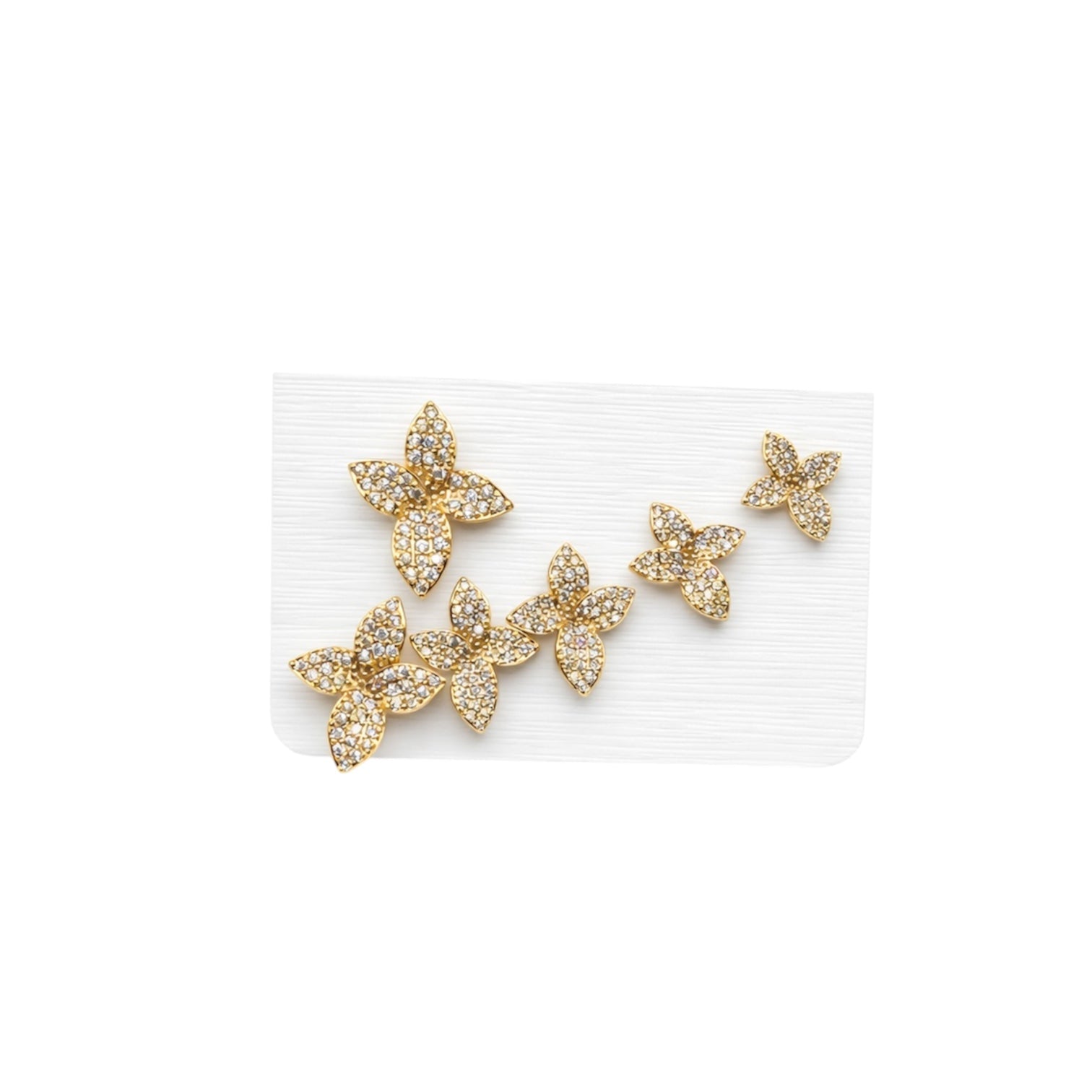 Set orecchini foglia