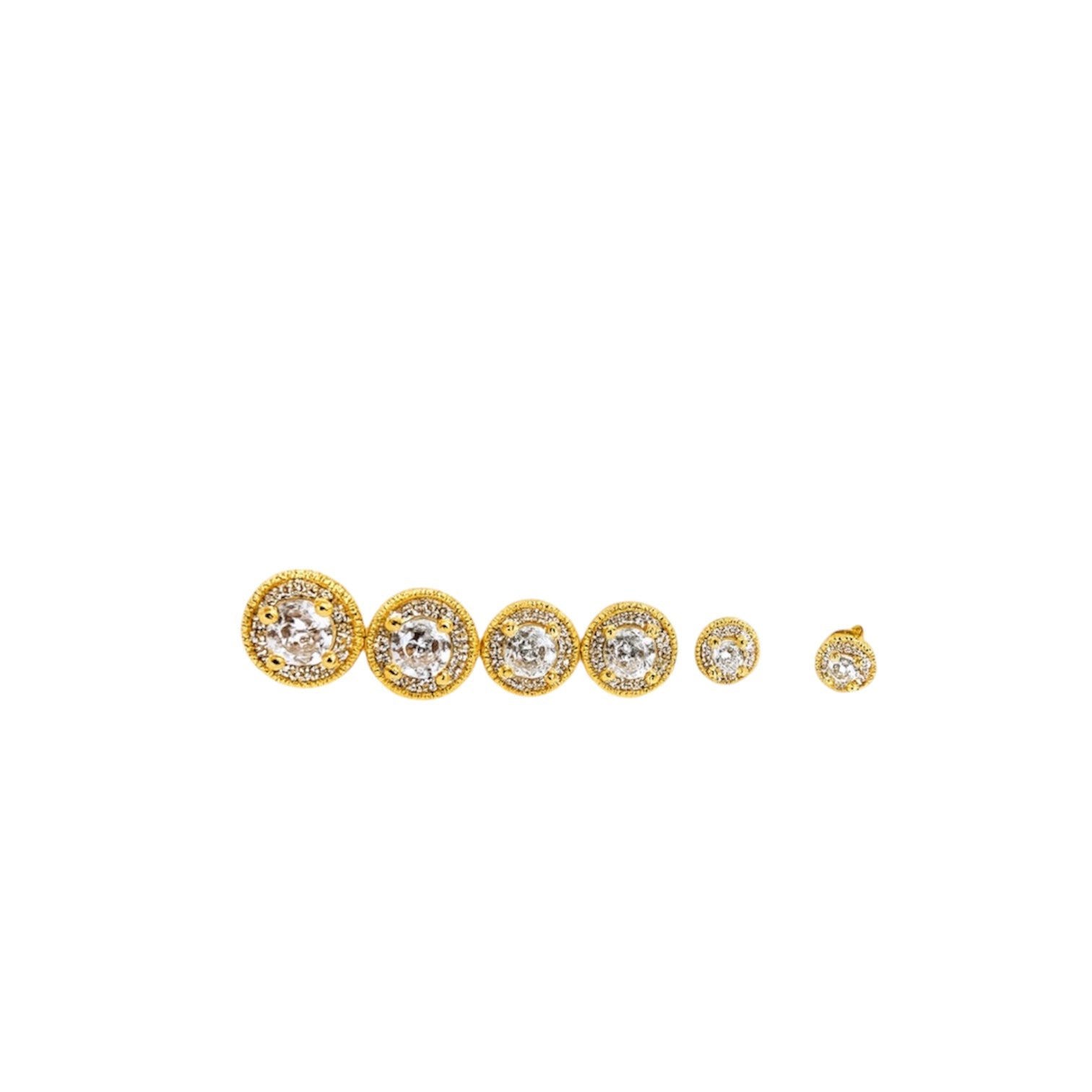 Set lobo scintillante